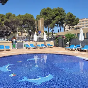 book here